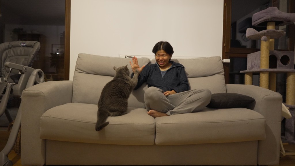 Jess 在法國使用 TrustedHousesitters 寵物換宿時與貓咪的合照 THS